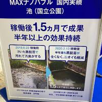 画像273